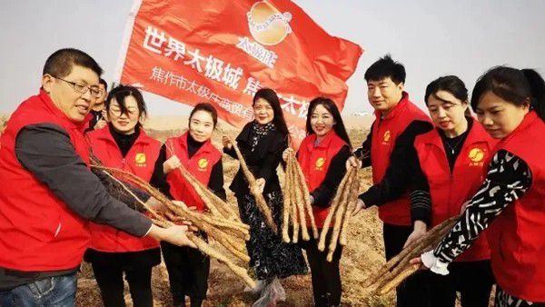 鐵棍山藥規(guī)?；?、標(biāo)準(zhǔn)化種植