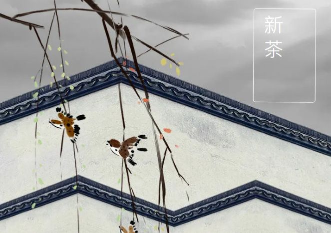 太極莊新菊上市！白菊婉清顏，芳香滿庭院